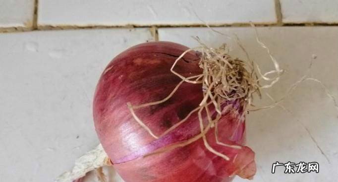 家常西葫芦鸡蛋炒圆葱的做法