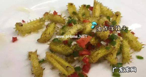 洋辣子是什么