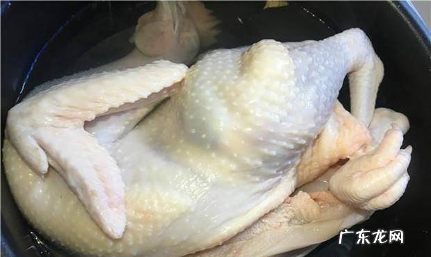 广东白切鸡的家常做法