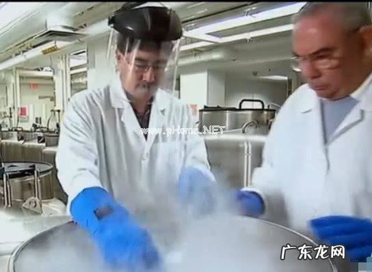 临死前的人看到了什么