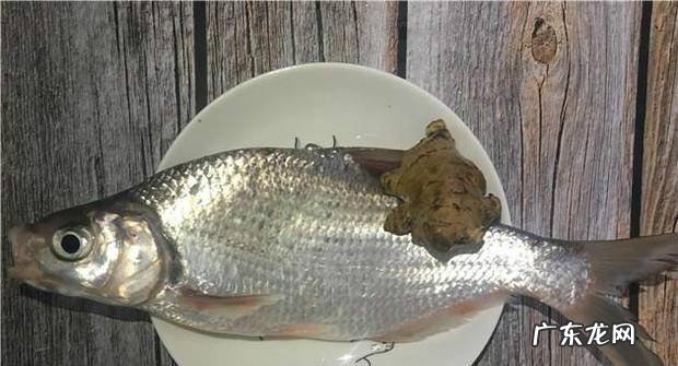 怎样做蒸鱼好吃呢