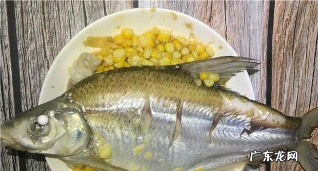 怎样做蒸鱼好吃呢