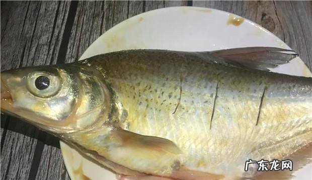 怎样做蒸鱼好吃呢