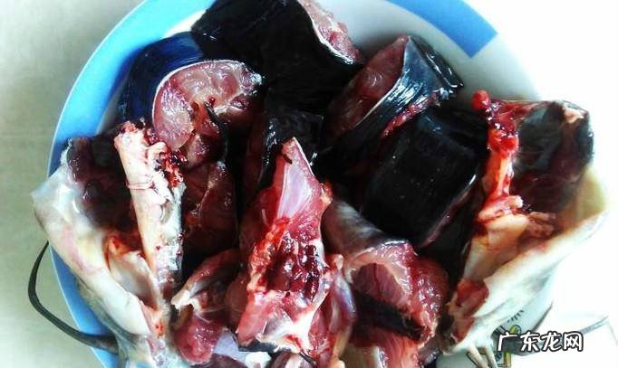 仔姜焖埃及塘角鱼的做法