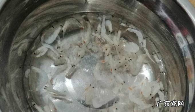 怎样做美味的油泼辣子包菜拌虾皮