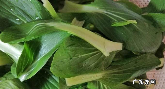 油菜熟肉炒豆腐的做法