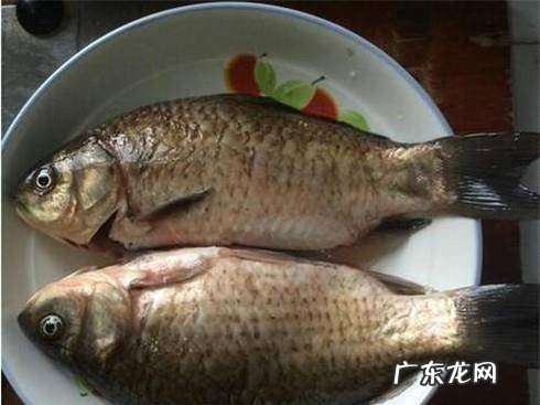 鲫鱼炖茄子的做法