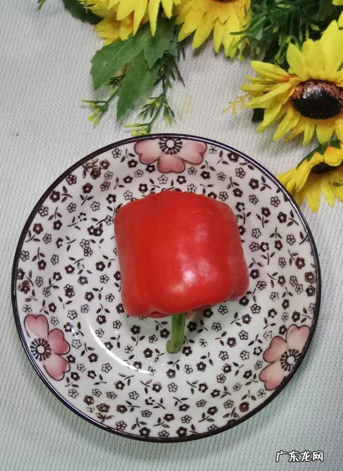 怎样做美味的白菜炒鸡胸肉