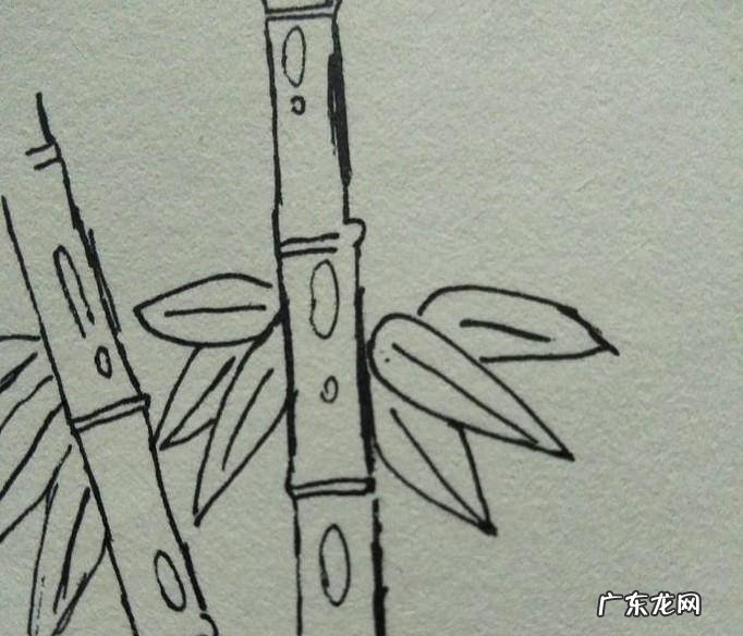 随手画竹的画法