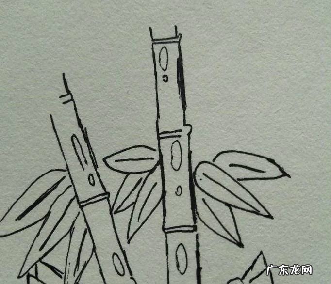 随手画竹的画法