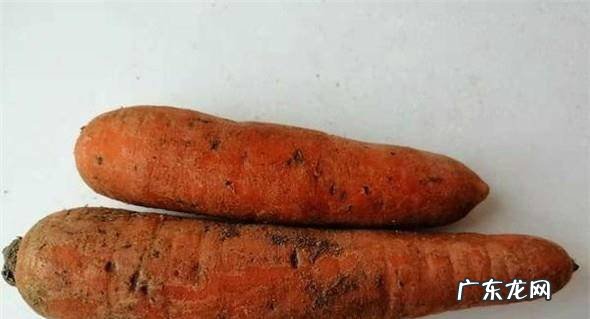 怎么做超美味的土豆芸豆胡萝卜炖牛肉
