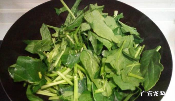 肉炒菠菜粉丝的家常做法