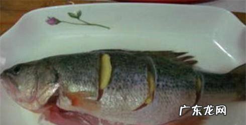 懒人简单清蒸鲈鱼做法