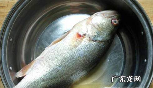 懒人简单清蒸鲈鱼做法