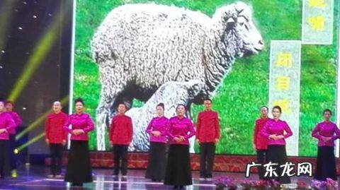 包头风水最好的地方 包头市风水五行大师是谁