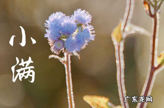 明日小满几点几分,2023年小满具体时间