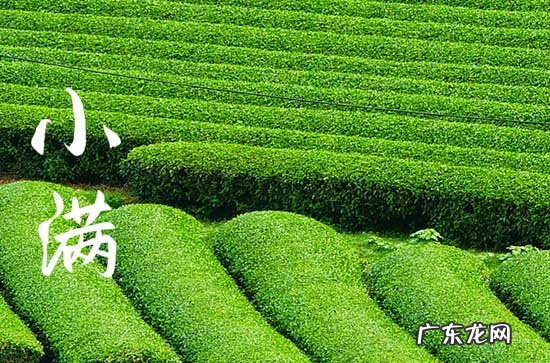 2023年哪天是小满