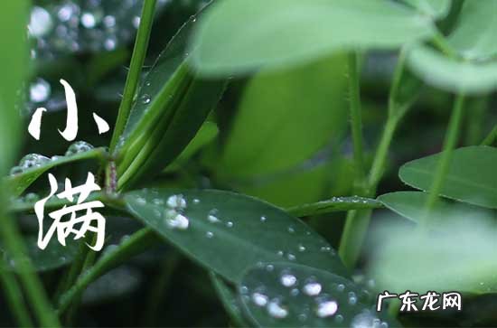 今年小满节是几月几号2023