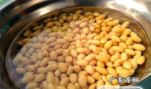 详解家庭自发豆芽全过程