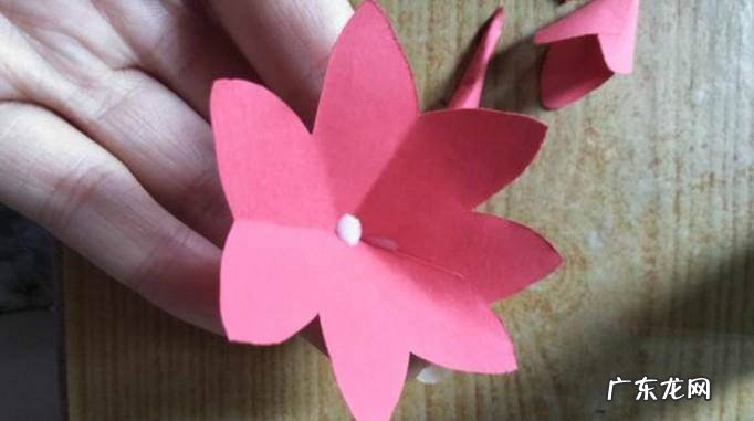 DIY折纸如何折一朵睡莲