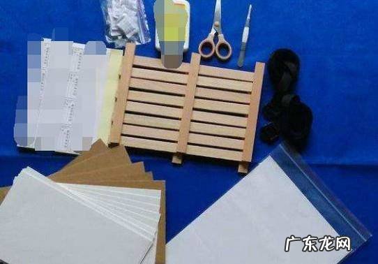 蝴蝶标本制作方法