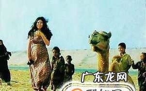 高中生最应该读的十本书