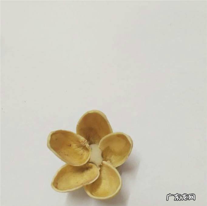 手工课——创意小作品