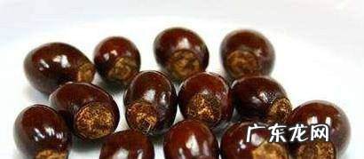 如何种植荔枝树