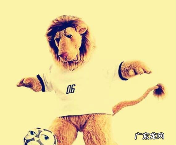 世界杯吉祥物有哪些