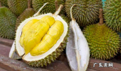 怎么挑选榴莲呢？如何挑到又大又好吃的泰国金枕榴莲？