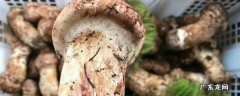 松茸为什么不能水洗,松茸可以用水清洗吗?
