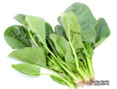 尿酸高的人菠菜能吃吗 尿酸高的人是否可以吃菠菜