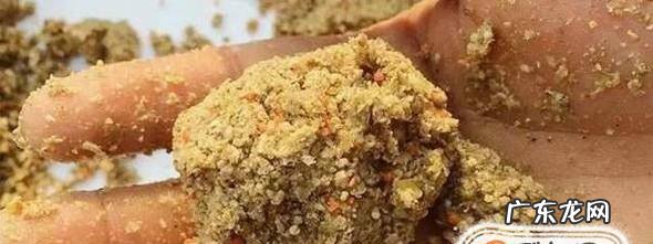 钓鱼饵料使用方法