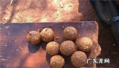 钓鱼饵料使用方法