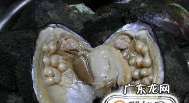 怎么钓青鱼容易让鱼上钩