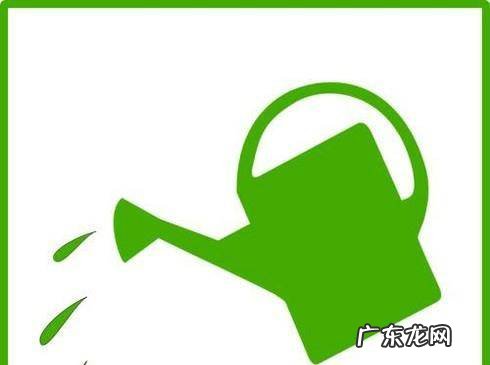 红掌叶子发黄怎么补救