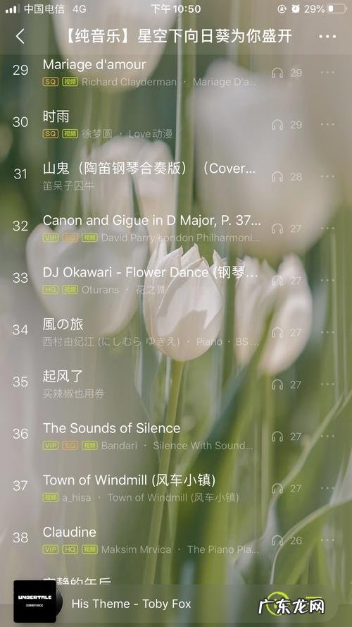 最好听的轻音乐前十名:好听极了!你听过几首?