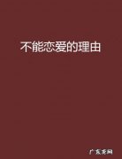 不想恋爱小说