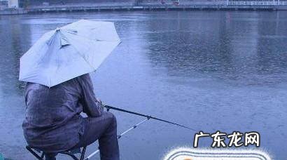 下雨天钓鱼怎么样