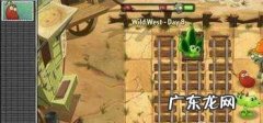 植物大战僵尸2狂野西部第8天怎么过