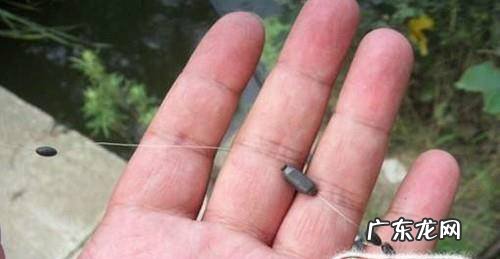 如何在流水中钓鱼