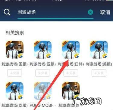 绝地求生刺激战场国际服怎么下载