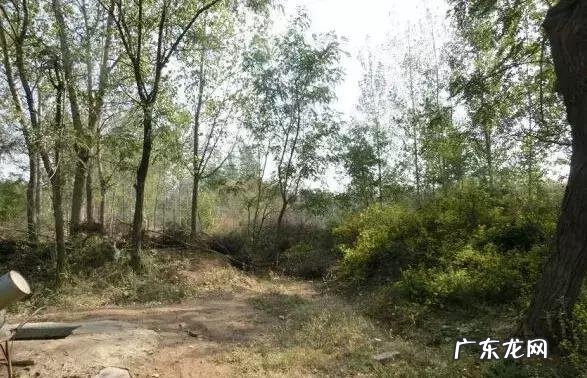 风水怎么看地下的水位