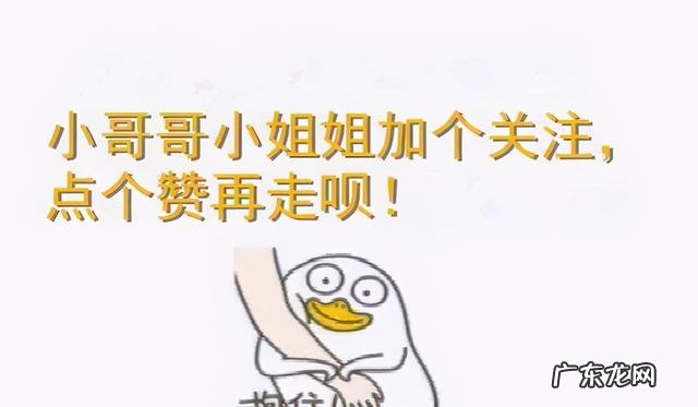 收藏级 猫咪偷喝水宝鹃嗓主人能有多慌