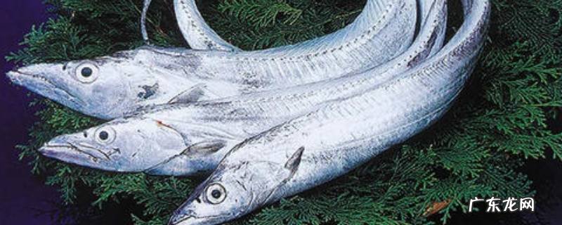 带鱼有盐味吗,带鱼本身含盐吗