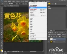 PS怎么为图片添加马赛克？看完这个就懂了