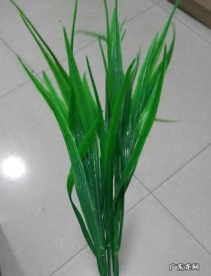 diy纸花的做法