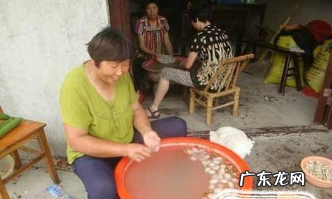 怎么样手工剥蚕茧