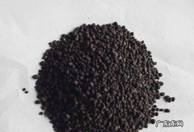 叶子发黄怎么办