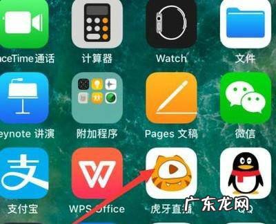 吃鸡怎么观看比赛